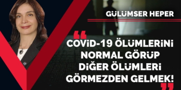 Gulumserheper-kovid19