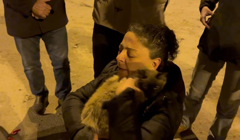 Galeria’da kedi kurtarma operasyonu