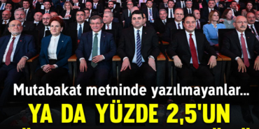 filiz-kapak