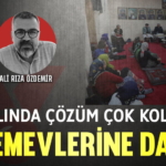 alirizacemevi