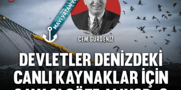 canlikaynak2