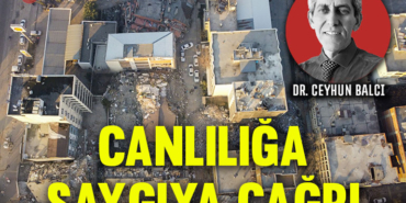 canliligasaygi
