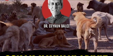ceyhunbalcikap