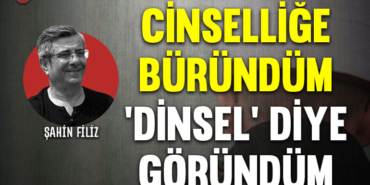 cinselligeburundum