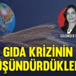 gulumserheper