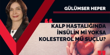 gulumserkapak