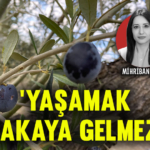 mihribanunal-kap