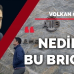 nedir-brics