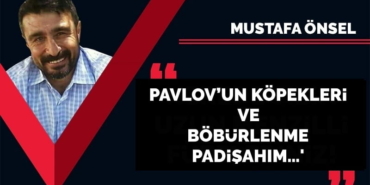 onsel