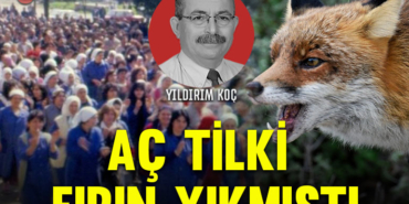 tilki-kapak