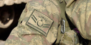 uzmancavus