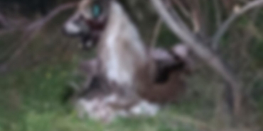 3599286_810x458