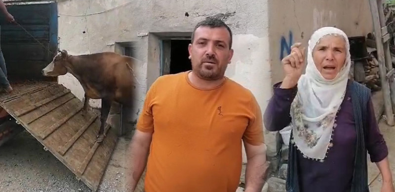 Türk çiftçisi sahipsiz kaldı… ‘Sağdığım ineği oğlumun taksidi için satıyorum’