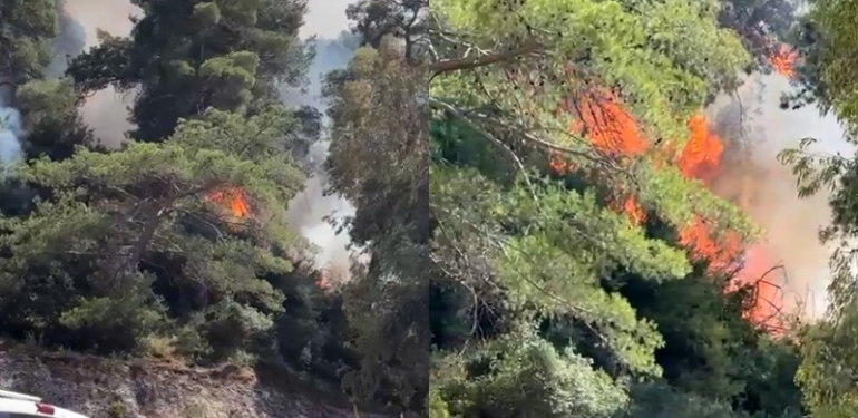 Marmaris’teki orman yangınında bulunan cesedin kimliği belirlendi