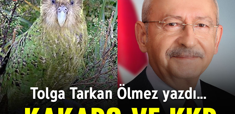 Kakapo ve KKP