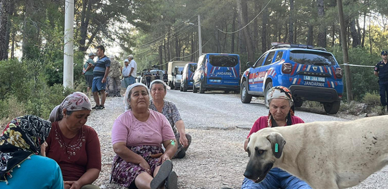 Yurdun dört bir yanında ‘nefes’ mücadelesi: O iller yandı, Akbelen kesildi!