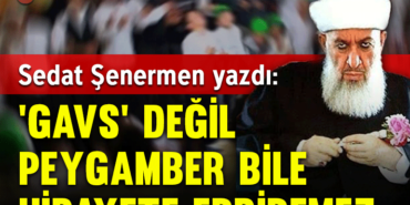gavsson