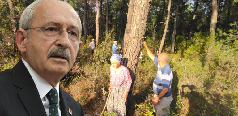 Kılıçdaroğlu Akbelen’e gidiyor