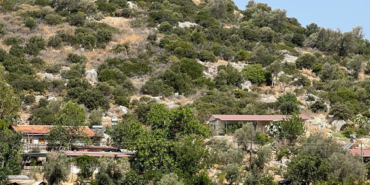 patara
