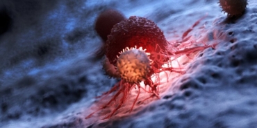 immunoloji-nedir-shutter (1)