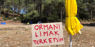 limak2
