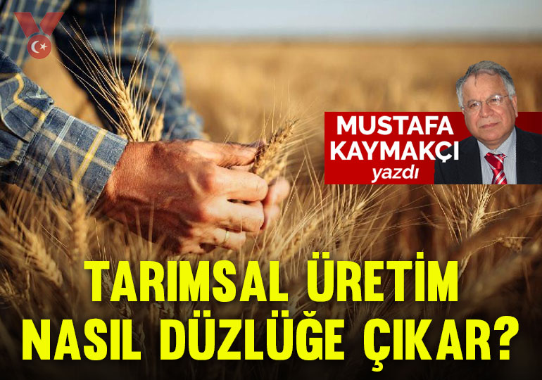 Tarımsal üretim nasıl düzlüğe çıkar?