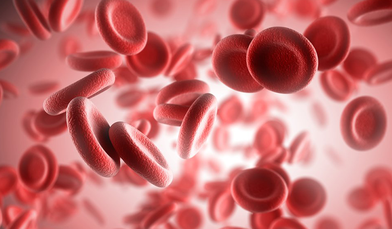 Nötrofil (NEU) nedir? Nötrofil yüksekliği ve düşüklüğü ne anlama gelir?