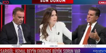 sarıgul