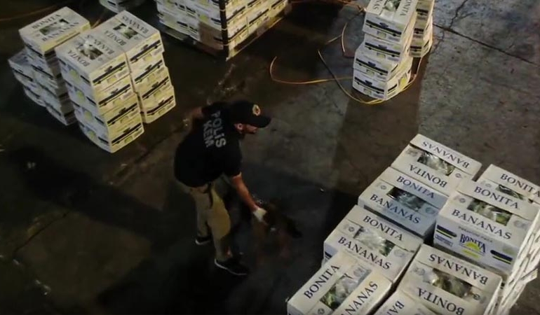 Mersin Limanı’nda muz konteynerinden 610 kilogram kokain çıktı