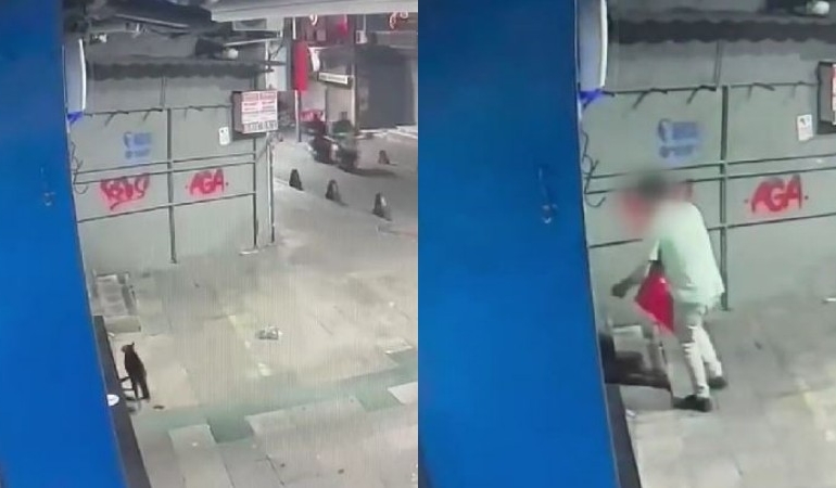 Vicdansızlığın böylesi… İstanbul’da poşete koyduğu kediyi tekmeleyerek öldürdü!