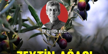 zeytin-agaci