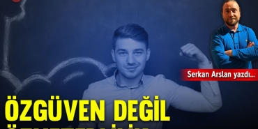 arslanrevize