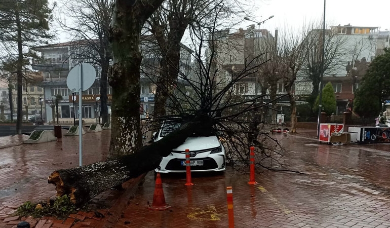 Bartın’da fırtına: Çatılar uçtu, otomobilin üzerine ağaç devrildi