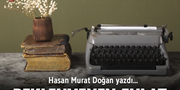 doganrevize