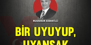 karanfil