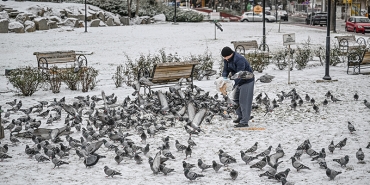 ankara-kar