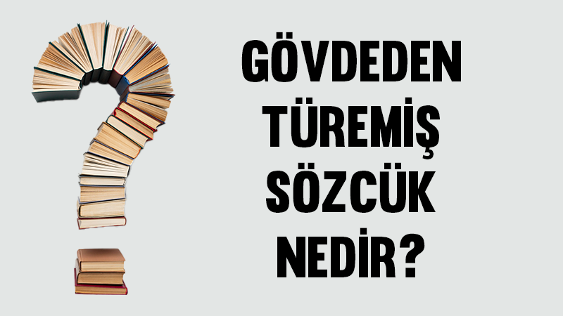 gövdeden-türemiş-sözcük-nedir
