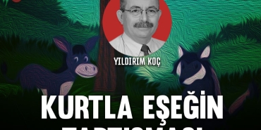 kocrevize