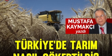 tarim-kapak