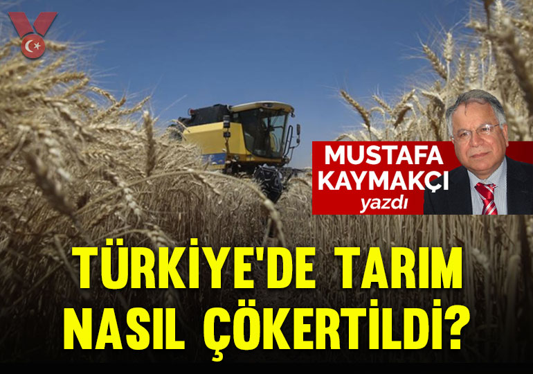 Türkiye’de tarım nasıl çökertildi?