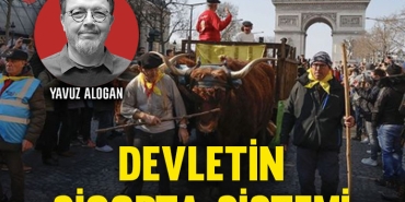 alogan-kap