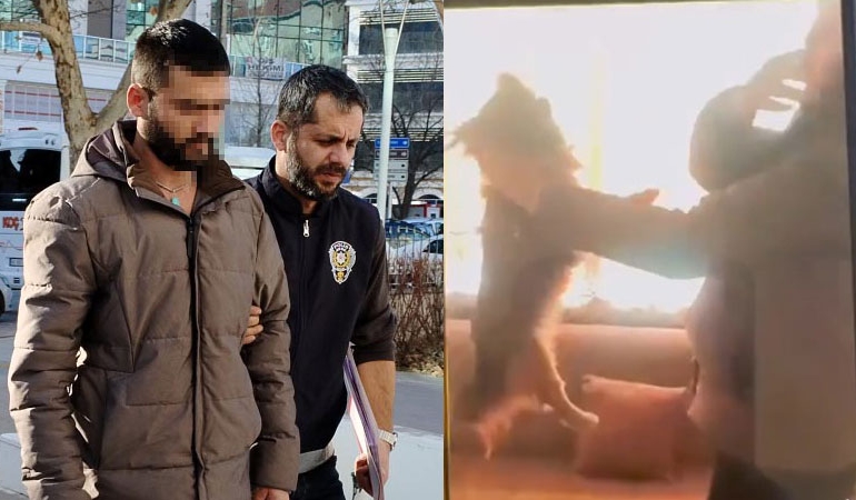 Aydın’da 4 sahipsiz köpek ölü bulundu: Zehirlenme iddiası