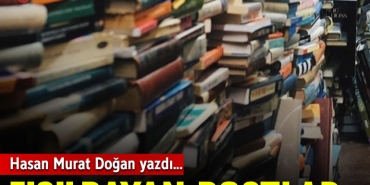 fisildayan