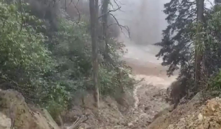 Giresun’da maden sızıntısı iddiası: ‘Kimyasal ormana karışıyor’