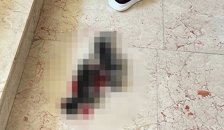 Bursa’da 6 yavru kedi başları kesilerek öldürüldü