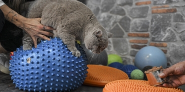 pilates