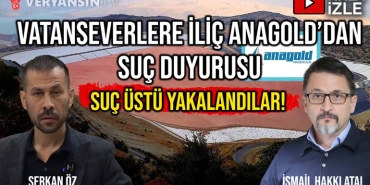 vtv-ilic