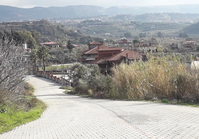 Hatay’da 2 mahalleye kuduz karantinası