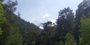 antalya-one-orman-yangini