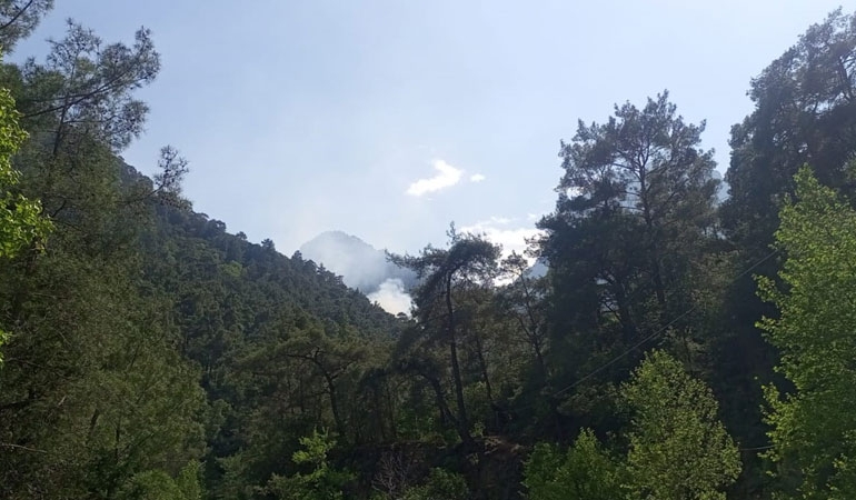 Antalya Kemer’deki orman yangını kontrol altına alındı